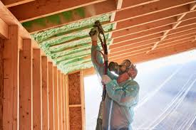 Best Soundproof Insulation  in Osceola, MO