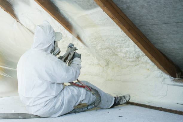 Trusted Osceola, MO Insulation Services Experts